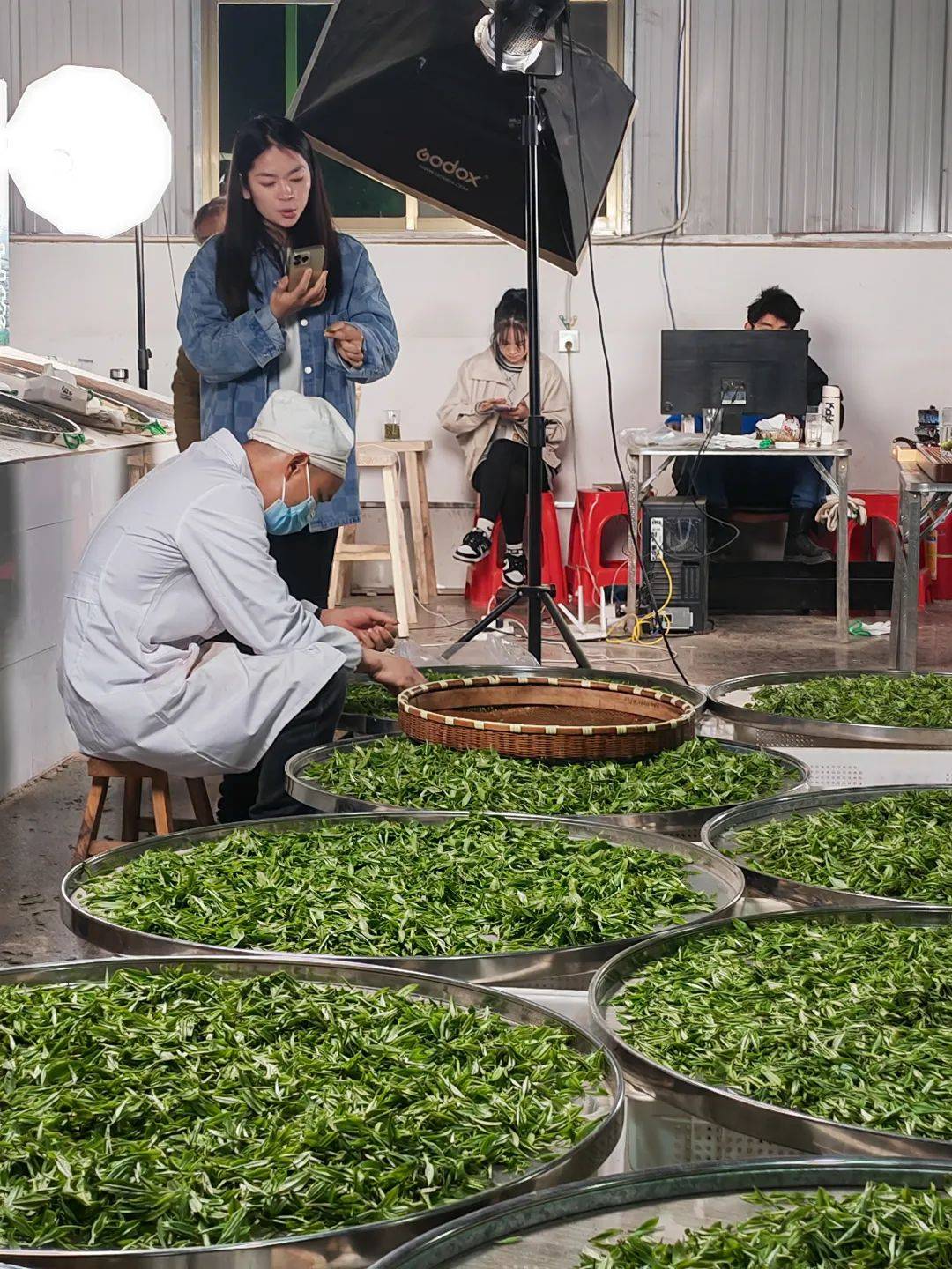 茶香满城引客来！南明区春茶上市交易火