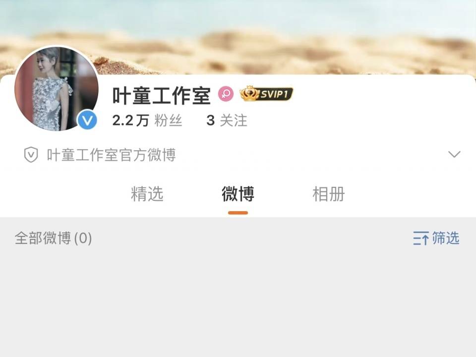 叶童有了工作室 网民：62岁正是闯的年纪